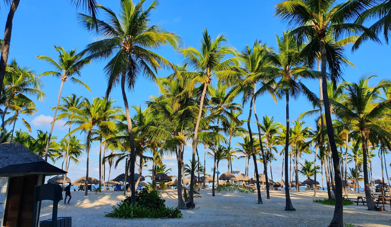 viaje en navidad a punta cana todo organizado en familia